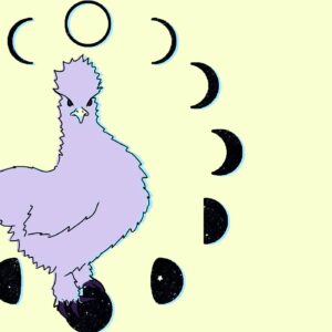 242521706_383483126592366_6540526228148286991_n